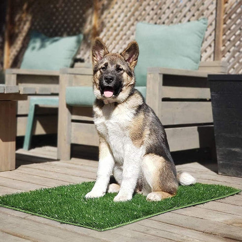 28"18" Hompet Dog Grass Pads, Puppy Turf Potty Training Pads, Artificial Turf for Dog Systems Replacement Grass Mats