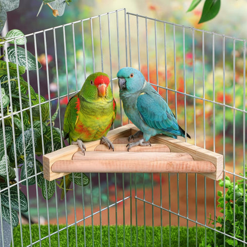3 (7.1 7.1 Inch,Ladder) Wettarn Pcs Bird Perch Platform Bird Corner Parrot Perch Corner Wooden Stand Sector Playground