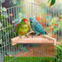 3 (7.1 7.1 Inch,Ladder) Wettarn Pcs Bird Perch Platform Bird Corner Parrot Perch Corner Wooden Stand Sector Playground