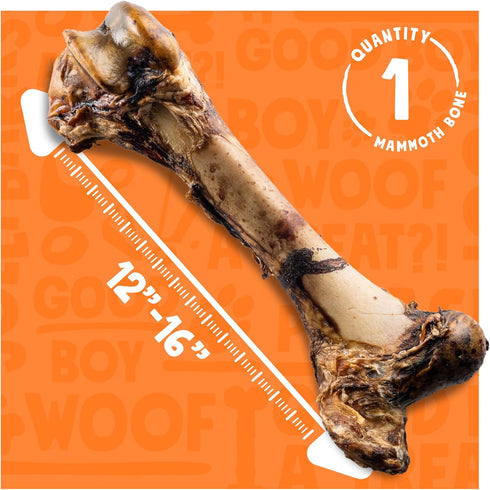 Mammoth 16" (1 Pack) Big Dog Bones for Large Dog Bone, Femur Beef Bones for Agressive Chewers, Natural Giant Dog Bone