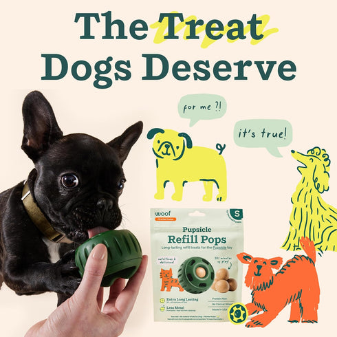 10 Count WOOF Pupsicle Refill Pops - Low-Mess Dog Snacks - with Peanut Butter and Beef - Dog Treats - Long Lasting