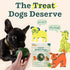 10 Count WOOF Pupsicle Refill Pops - Low-Mess Dog Snacks - with Peanut Butter and Beef - Dog Treats - Long Lasting