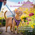 Dooradar Cat Harness and Leash Set, Adjustable Escape Proof Kitten Vest Harness for Walking, Soft Breathable Mesh,