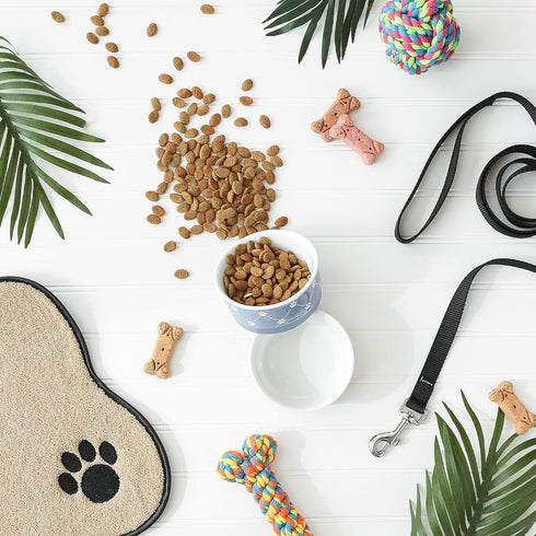 Bone Dry Trellis Paw Print Pet Bowl Set, Non-Slip Silicone Bottom, Microwave & Dishwasher Safe, 2 Count