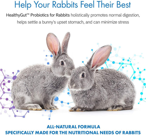 HealthyGut Probiotics for Rabbits, All-Natural Dietary Supplement for Digestive System, 120 Servings