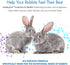 HealthyGut Probiotics for Rabbits, All-Natural Dietary Supplement for Digestive System, 120 Servings