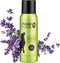 PAWFUME Dog Detangler Grooming Spray, Royal Lavender, 1-Pack – Hypoallergenic, Alcohol-Free, Moisturizing for Coat Care