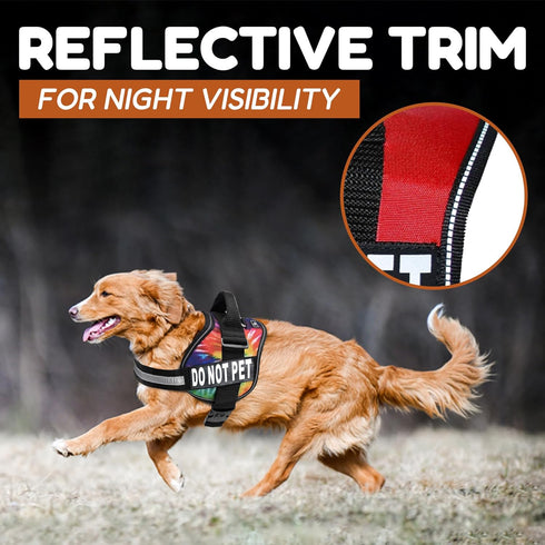 Doggie Stylz Dog Harness with DO NOT PET Patches – No Pull Service Dog Vest, Adjustable, Reflective, Heavy-Duty