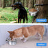 Raised Small Dog Bowls, Wall Mount Pet Bowl, Collapsible Elevated Bowl for Dog Cat Chicken Coop - 4 Cups