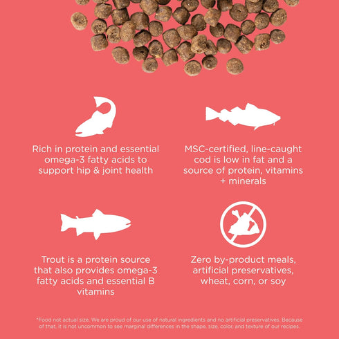 Go! Solutions Carnivore Protein Rich Dry Cat Food, Grain Free Salmon & Cod Recipe, 8lbs