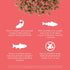 Go! Solutions Carnivore Protein Rich Dry Cat Food, Grain Free Salmon & Cod Recipe, 8lbs