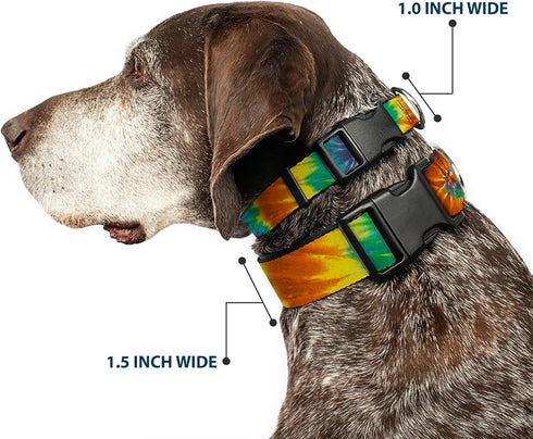 Buckle-Down Plastic Clip Collar - Tie Dye Swirl Multi Color, 1" Wide, Fits 11-17" Neck, Medium