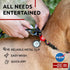 WAUDOG Nylon Dog Leash for Small and Medium Dogs 4 Ft - Heavy Duty Leash for Large Dogs & Puppy Leash