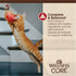 Wellness CORE Tiny Tasters Wet Cat Food, Complete & Balanced Natural Pet Food, 1.75-Ounce Pouch, 12 Pack (Minced