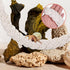Aysatogc 2PCS 4 Hermit Crab Climbing Toys Hermit Crab Accessories Climbing Rope with Hooks Hermit Crabs Habitat Decor