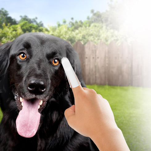 50 Count Groomer Essentials Finger Toothbrushes