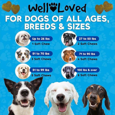 Recommended, Well Loved Calming Chews for Dogs - Dog Calm Treats, Made in USA, Vet Behavior Support with Melatonin