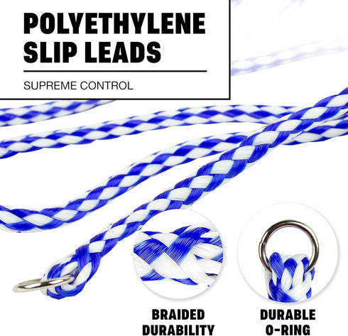 Downtown Pet Supply 6 Pack Braided Poly Slip Lead Dog Leash, 5' Long, Durable Universal Slip Leash for Groomers &