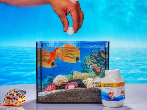 Premium Aquarium Salt Tablets for Freshwater Water Treatments, Essential Supplies (20 Tablets)