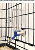 Choco Nose Mini No-Drip Water Bottle/Feeder - 10.2oz for Small Pets, Blue (C125)