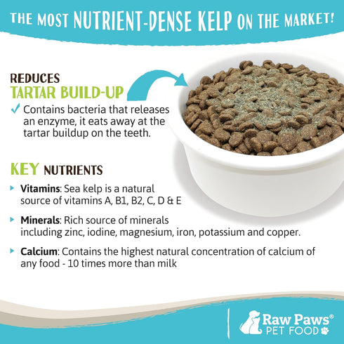 Raw Paws Organic Kelp Powder for Dogs & Cats (8-Ounce) - Seaweed Powder Supplement for Thyroid, Digestive & Immune