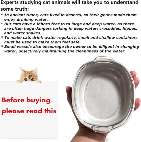 Small Glass Cat Food Bowls, Shallow Water Bowl for Cats Kitties Puppy and Small Dogs,Transparent Pet Feeding Bowl, Promotes Pet Hydration, Durable and Stable Design,Protect Pet's Spine,Dishwasher Safe