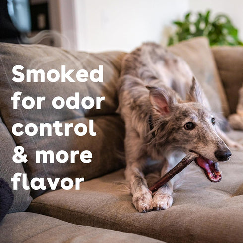 Pupford Thick Bully Sticks for Dogs & Puppies - Smoked, Natural, 6", 4 Count, Long-Lasting Chews
