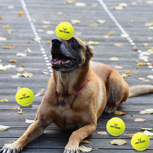 Dog Tennis Balls - 12 Pack 2.5" Squeaky Interactive Toys for Small Medium Large Dogs - Bounce Rubber for Training