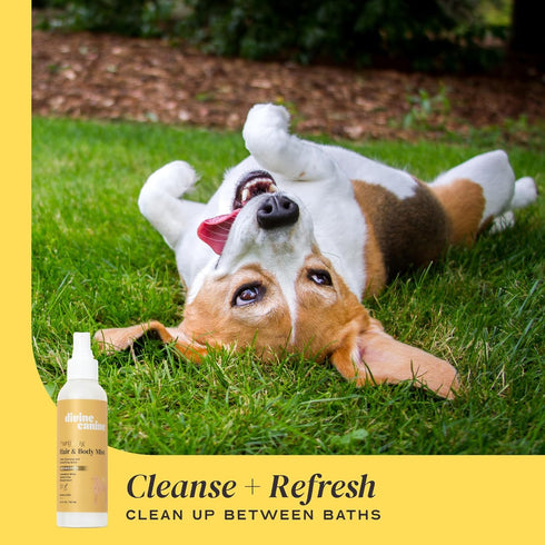 Purifying Hair & Body Mist, Dog Grooming Conditioner Spray with Aloe Vera & Vitamin E, 150ml