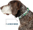 Buckle-Down Hippo Cartoon Dog Collar, Multicolor, 1.5" Wide, Fits 16-23" Neck, Medium