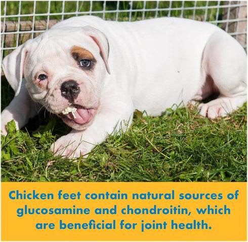 Chicken Feet Chews for Dogs, 16 Ounce