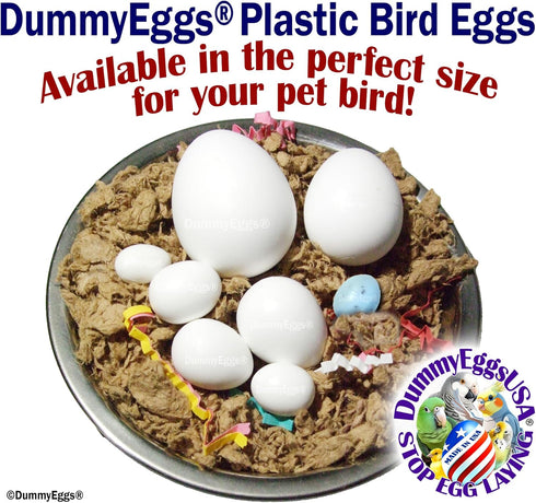 7 Dummy DummyEggs Cockatiel Bird Eggs Stop Brooding Laying! Tricks Your Bird Everytime! Solid Plastic Fake Eggs Quaker