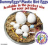 7 Dummy DummyEggs Cockatiel Bird Eggs Stop Brooding Laying! Tricks Your Bird Everytime! Solid Plastic Fake Eggs Quaker