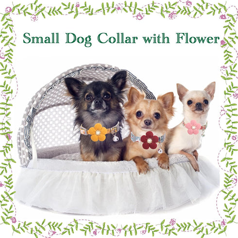 Small Dog Collar with Flower, Adjustable Length Puppy Collar for Girl Dogs, Cute with Bell, Yellow