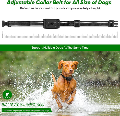 Wireless Dog Fence, Remote Training Collar & Electric Fence, Waterproof & Rechargeable, 2024 Wireless Dog Training
