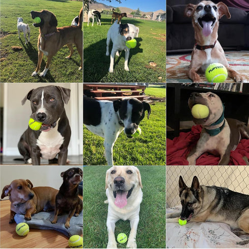 PUPTECK Squeaky Tennis Balls for Dogs, 2.5" Training Bouncy Ball Toys, 12 Packs for Fetch and Exercise