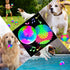 2 Pieces 2.5" Light up LED Dog Toy Ball - Elastic Flashing Glowing Interactive Bounce-Activated Toy for Small Medium