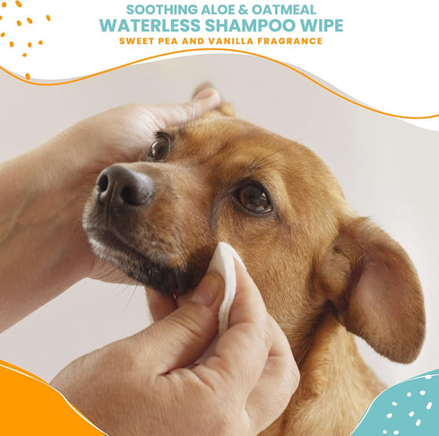 Nootie Waterless Shampoo Wipes for Dogs & Cats - Long Lasting Sweet Pea Vanilla Fragrance, 70 Count