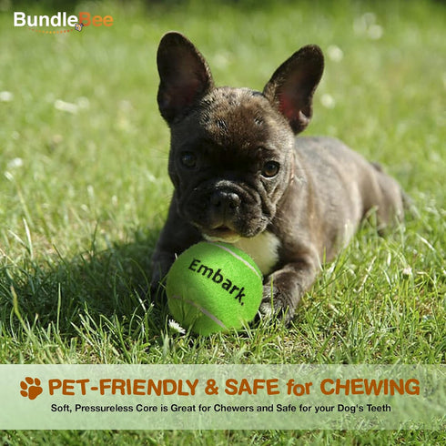 Colorful Squeaky Tennis Balls for Small Dogs, 1.5 Inch 6 Pack, Dog Training Toys for Positive Reinforcement Fetch