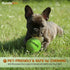 Colorful Squeaky Tennis Balls for Small Dogs, 1.5 Inch 6 Pack, Dog Training Toys for Positive Reinforcement Fetch