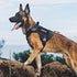OneTigris Tactical Dog Harness Vest, No-Pull Service Vest with Hook & Loop Panels, Adjustable for Training (Black, XS)