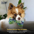 Huxley & Kent Pet Bow Tie for Dogs & Cats, Adjustable Collar Accessory, Blue Madras, Small