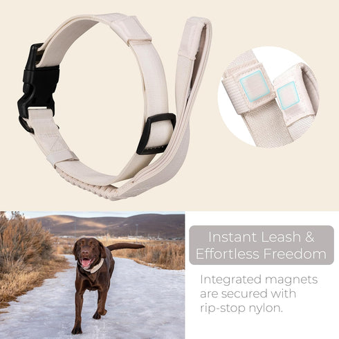 TUG Grab Collar | Integrated Traffic Leash Magnetically Attached for Quick Control (Large/Cream)