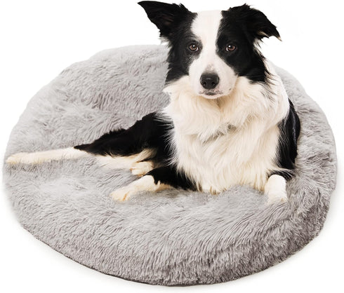 Premium Portable Dog Beds for Medium and Large Dogs - Travel Furniture - Fits Dogs up to 45 lbs, Light Grey (Medium)