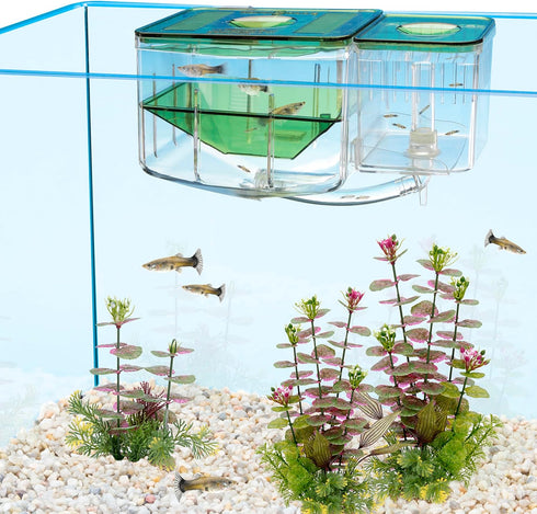 Penn-Plax AN2 Aqua Nursery and Hatchery Breeding Box for Aquarium, Protect Baby Fish from Predators