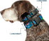 Buckle-Down Plastic Clip Collar - Stitch Hula Dance 5-Poses, 1" Wide, Fits 9-15" Neck, Small