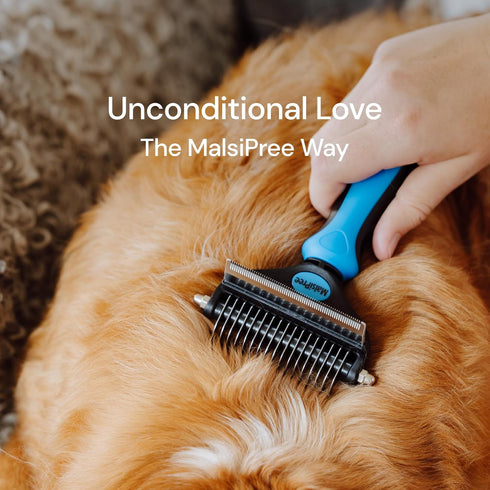 MalsiPree Cat Grooming Brush for Shedding - 2 in 1 Deshedding Tool and Undercoat Rake for Cats & Small Dogs