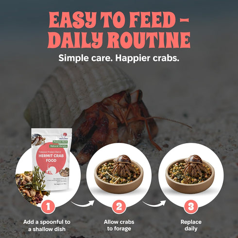 2 oz 56 Snout and Shell Tidepool Protein Blend Hermit Crab Food High Protein, Natural Sea-Inspired Variety, Supports