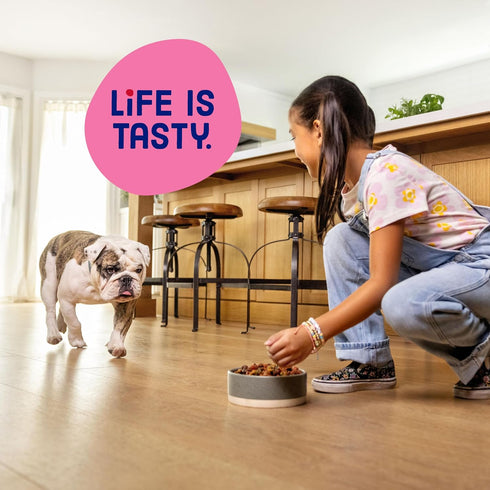 3.5 lb. 4 Count Kibbles 'n Bits Mini Bits Small Breed Dry Dog Food, Savory Beef & Chicken Flavors for Adult Dogs, Bag