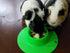 Tip-Proof Ergonomic Pet Bowl for Guinea Pig, 1/4-Cup Small Size, Spring Green
